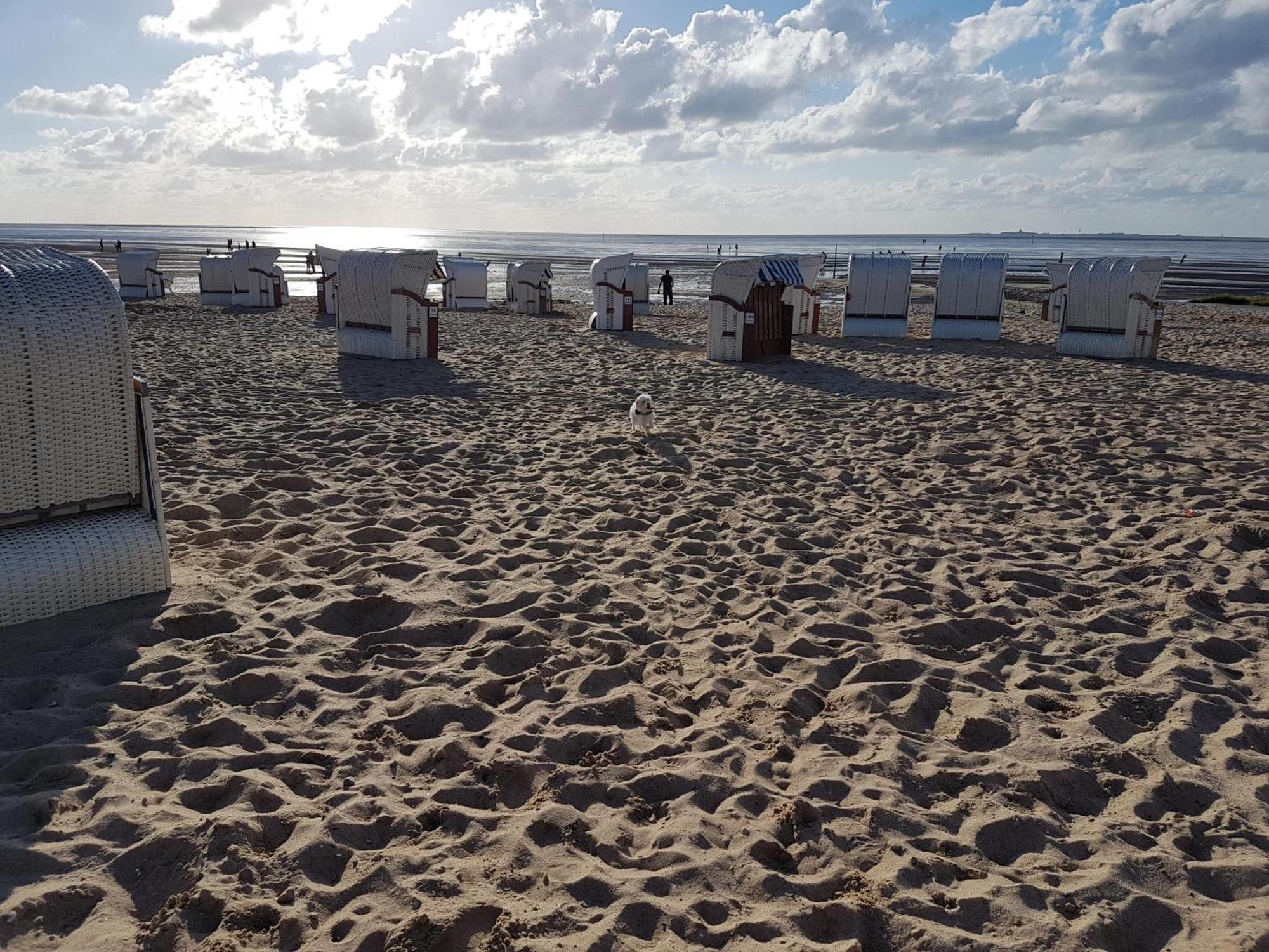 Apartmán Watt & Wind - Tolles Schwimmbad Cuxhaven Exteriér fotografie